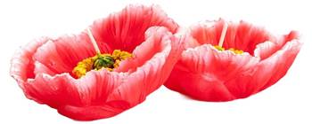 Kerzenset MEADOW FLOWERS 2er-Set