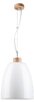 Campana Suspension