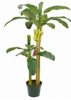 Künstliche Pflanze Bananenboom