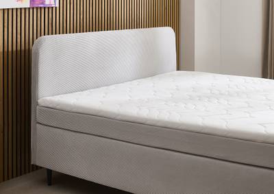 Boxspringbett Tooley