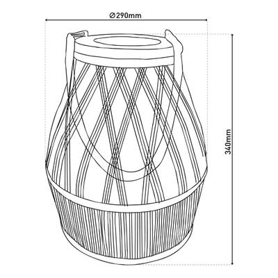 Plan & Dimensions