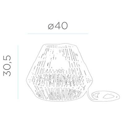 Plan & Dimensions
