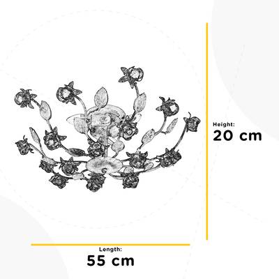 Plan & Dimensions