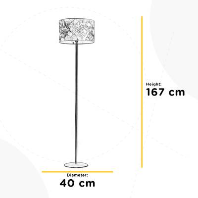 Plan & Dimensions