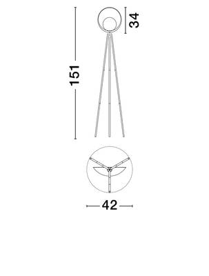 Plan & Dimensions