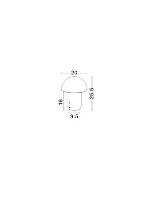 Plan & Dimensions