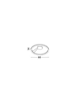 Plan & Dimensions