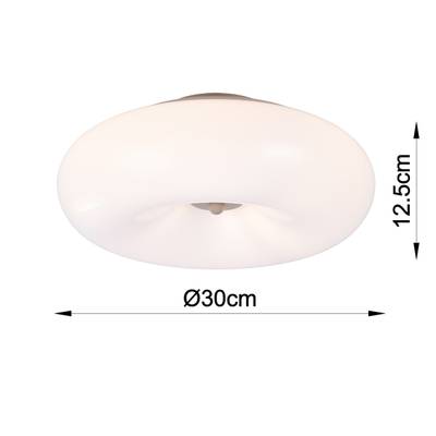 Plan & Dimensions