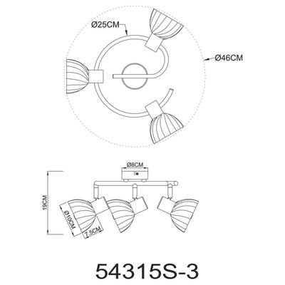 Plan & Dimensions