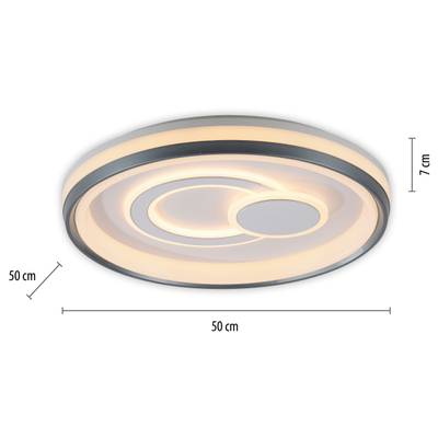 Plan & Dimensions
