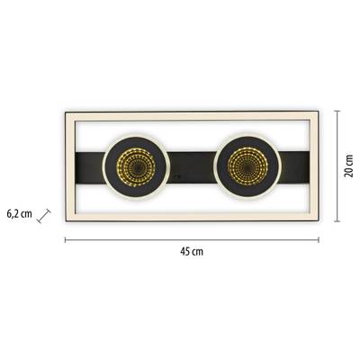Plan & Dimensions