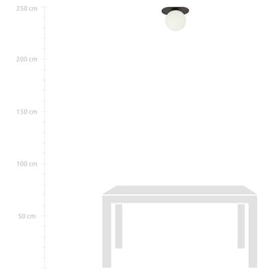 Plan & Dimensions