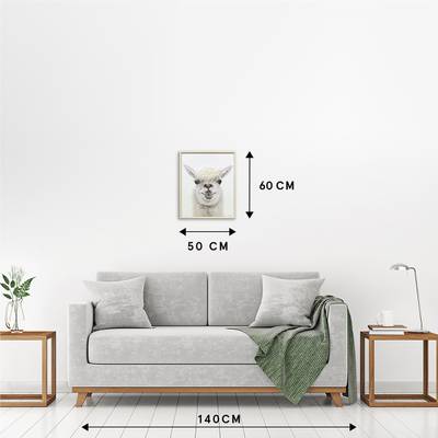 Plan & Dimensions