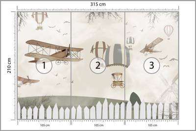 Plan & Dimensions