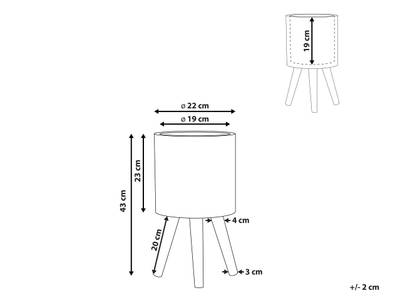 Plan & Dimensions