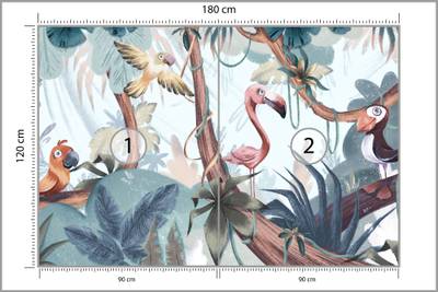 Plan & Dimensions