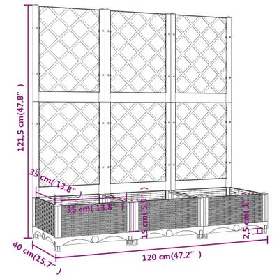 Plan & Dimensions