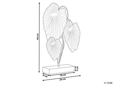 Plan & Dimensions