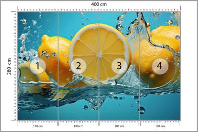 Plan & Dimensions