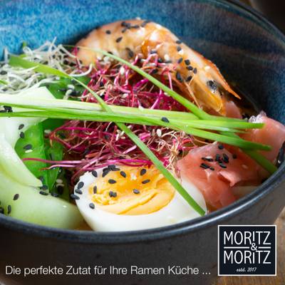 SOLID 4x Ramen Schüssel mit Deckel 600ml