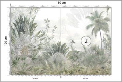 Plan & Dimensions