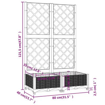 Plan & Dimensions