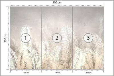 Plan & Dimensions