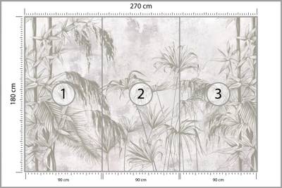 Plan & Dimensions