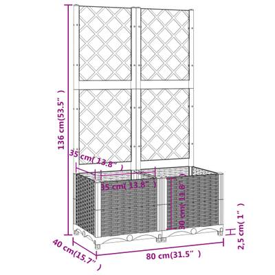 Plan & Dimensions