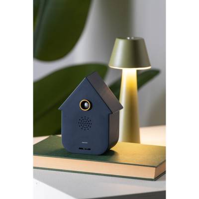 Ornament Sound Box Modern Cuckoo