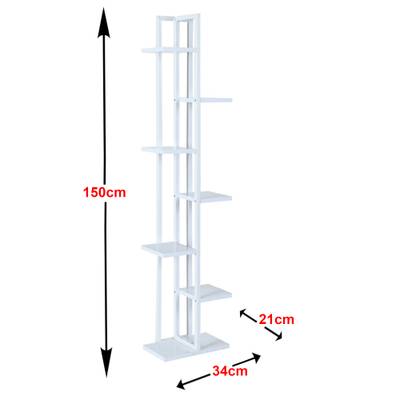 Plan & Dimensions