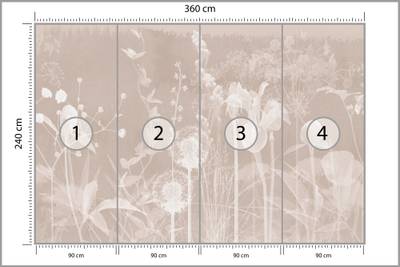 Plan & Dimensions