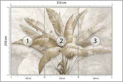 Plan & Dimensions