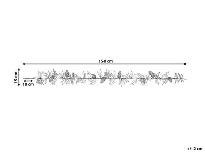 Plan & Dimensions