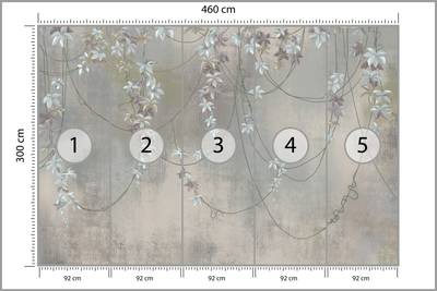 Plan & Dimensions