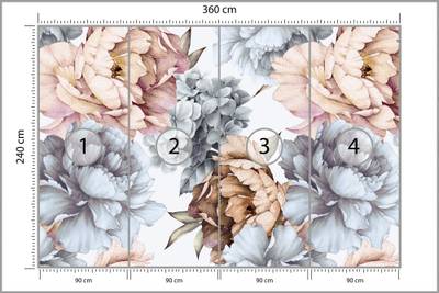 Plan & Dimensions