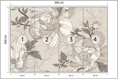 Plan & Dimensions