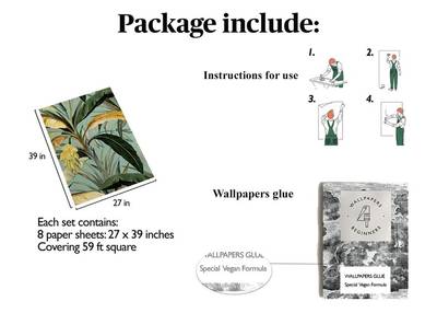 Plan & Dimensions