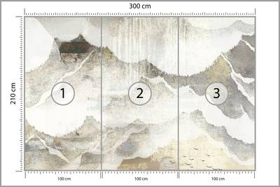 Plan & Dimensions