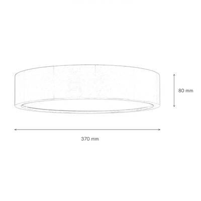 Plan & Dimensions