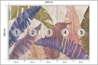 Plan & Dimensions