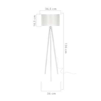 Plan & Dimensions