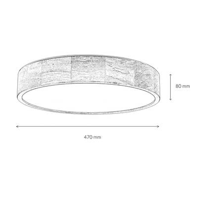 Plan & Dimensions