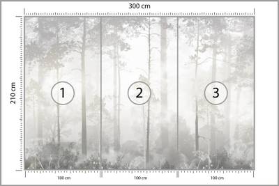 Plan & Dimensions