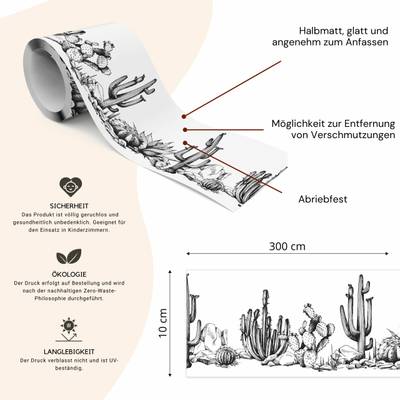 Plan & Dimensions