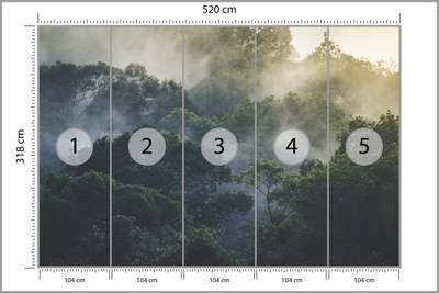 Plan & Dimensions