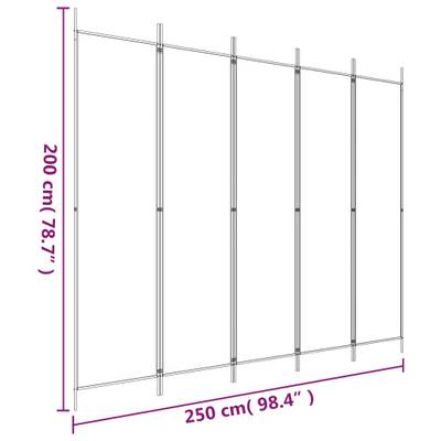 Plan & Dimensions