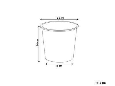 Plan & Dimensions