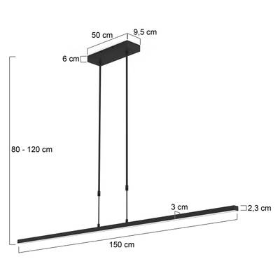 Plan & Dimensions