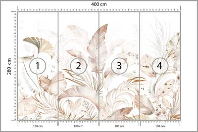 Plan & Dimensions